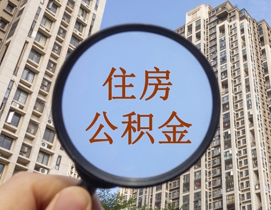 新疆退休后查不到公积金明细了吗（退休后公积金查询不到原因）